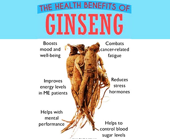 công dụng của sâm canada