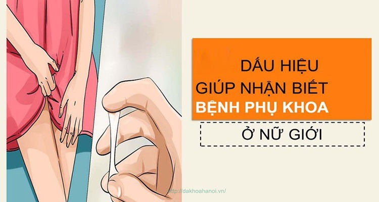 dao-hieu-viem-nhiem-phu-khoa