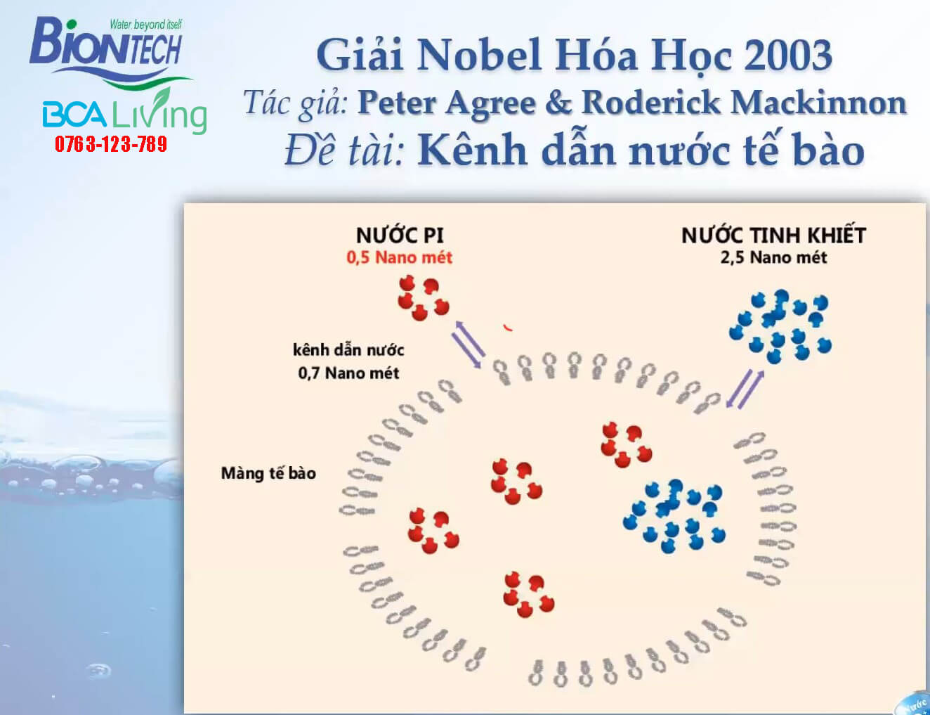 cụm phân tử nước nhỏ có tác dụng gì?
