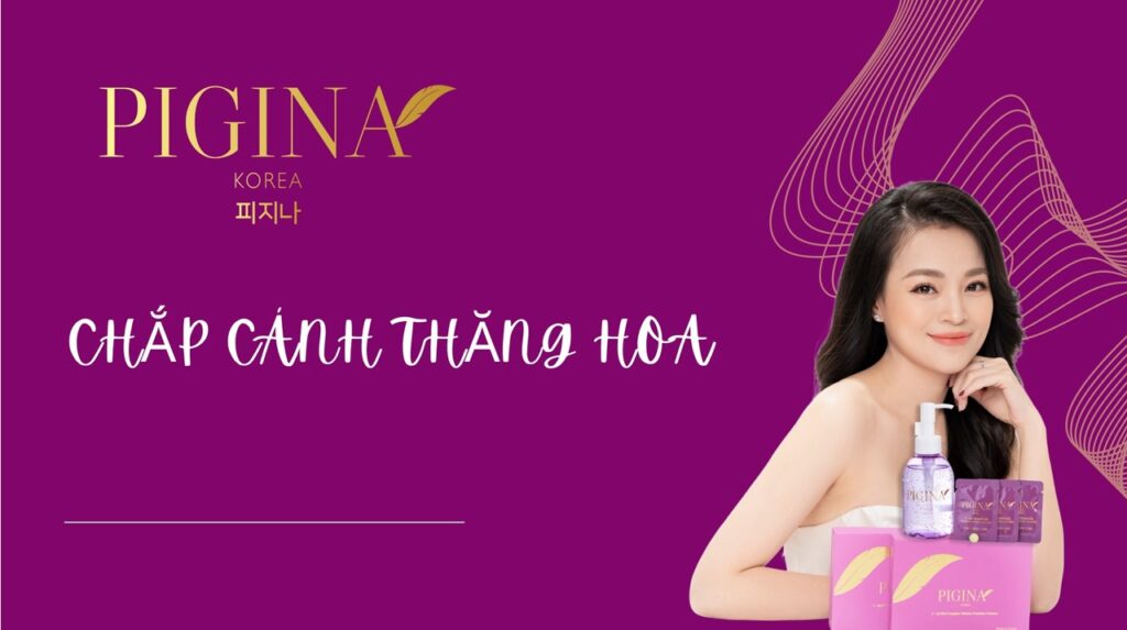 dung-dich-ve-sinh-phu-nu-pigina