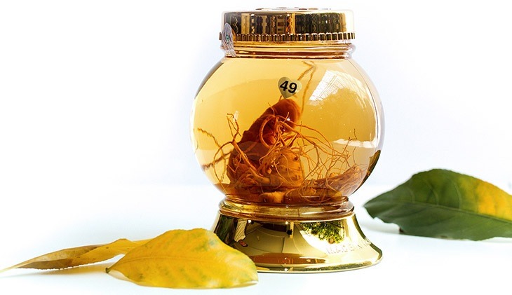 Ngâm rượu Sâm Ngọc Linh